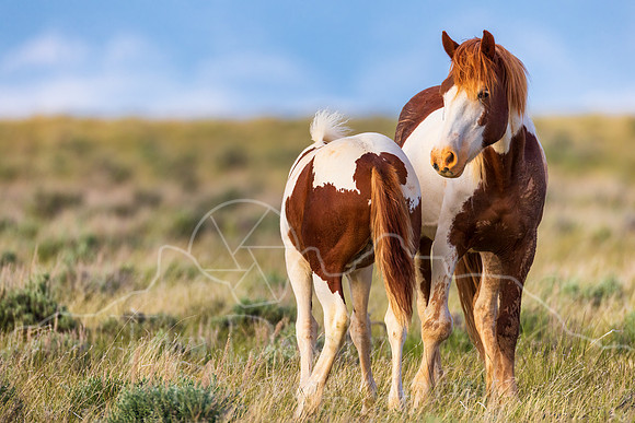 5D9A8643-Edit-Edit