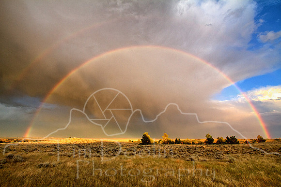 Antelope Camp--2011--2