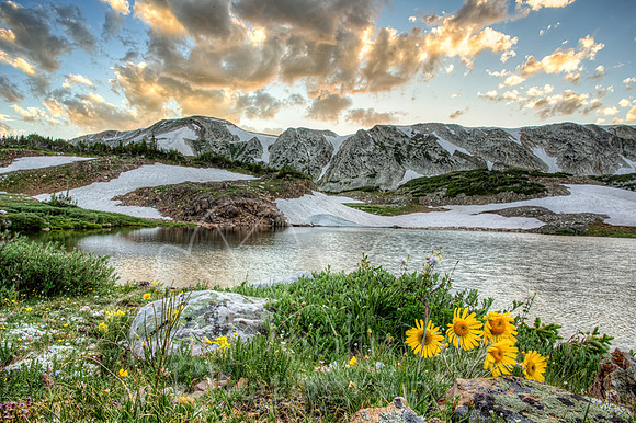 1N1B8414_5_6_7_8-Edit