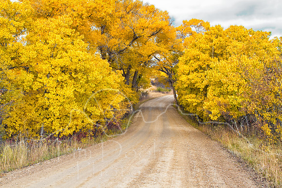 Fall Colors in Story--22