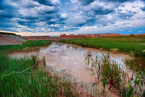 IMG_7590-Edit