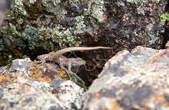 IMG_3188-Edit