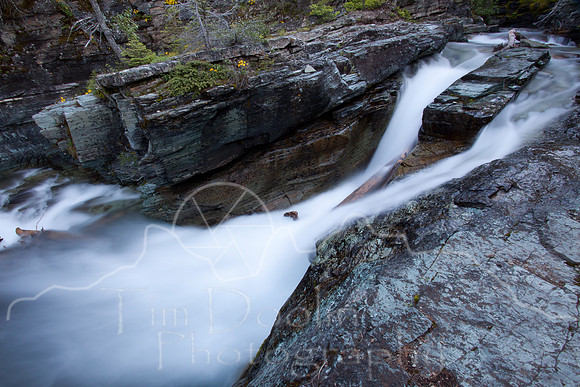 Glacier National Park--July 2010-3354