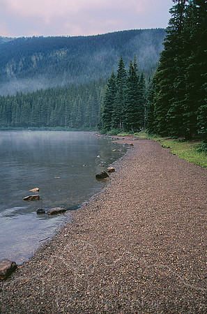 Cameron Lake Shoreline in fog--Waterton National Park.jpg