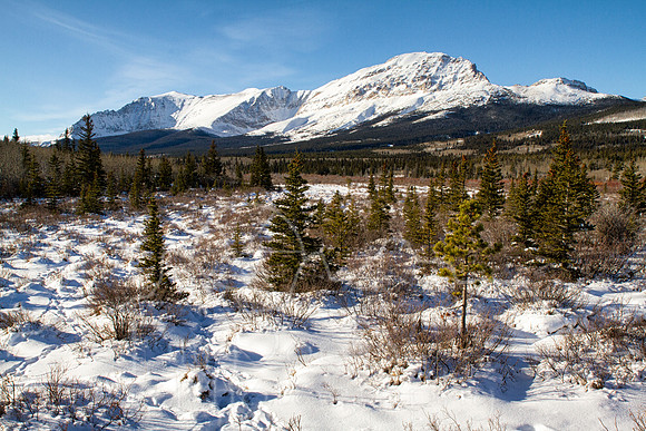 IMG_8949-Edit