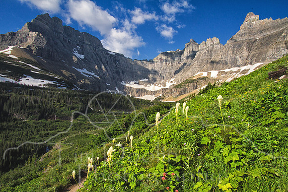 Glacier National Park--2011--8