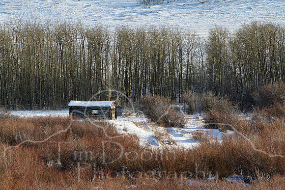 IMG_8495-Edit