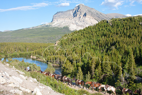 Glacier National Park--July 2010-8140