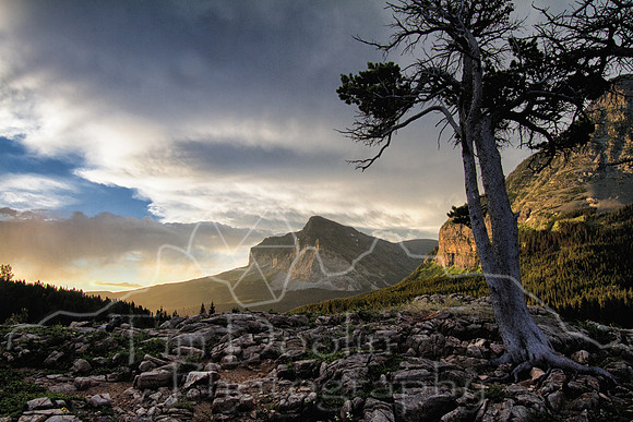 Glacier National Park--2011--16