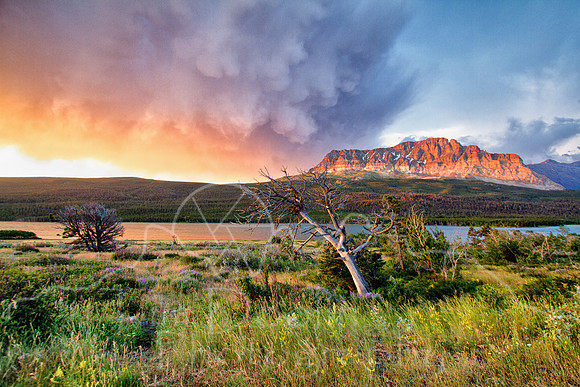 Glacier National Park--2011--14