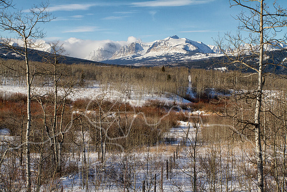 IMG_8939-Edit