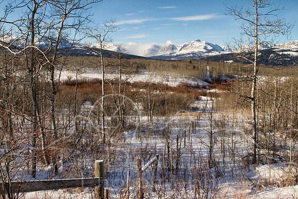 IMG_8938-Edit