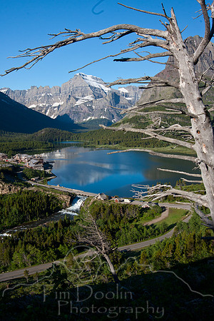 Glacier National Park--July 2010-8108