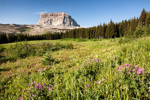 IMG_3599-Edit