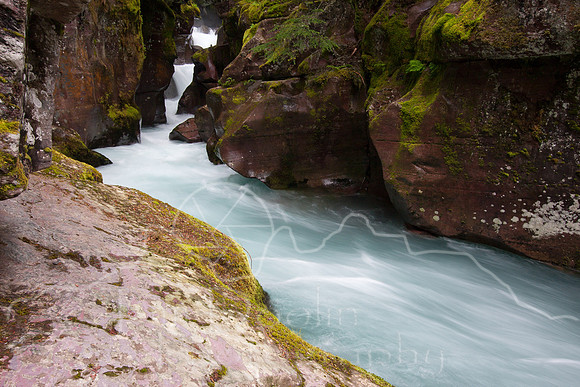Glacier National Park--July 2010-7405
