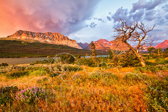 Glacier National Park--2011--13