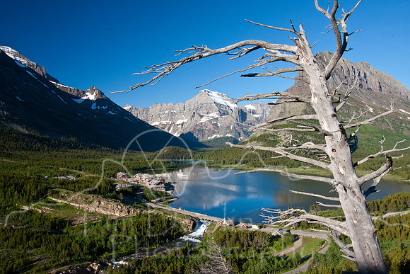 Glacier National Park--July 2010-8116