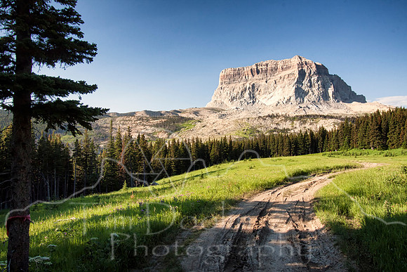 IMG_3597-Edit