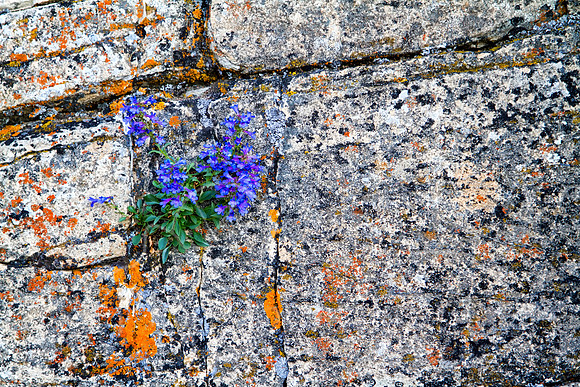 IMG_9579-Edit
