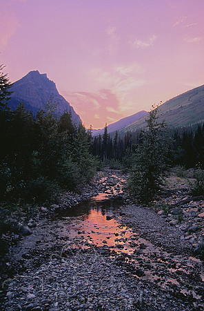 Sunset from road in Waterton National Park.jpg