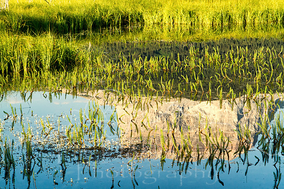 IMG_0420-Edit