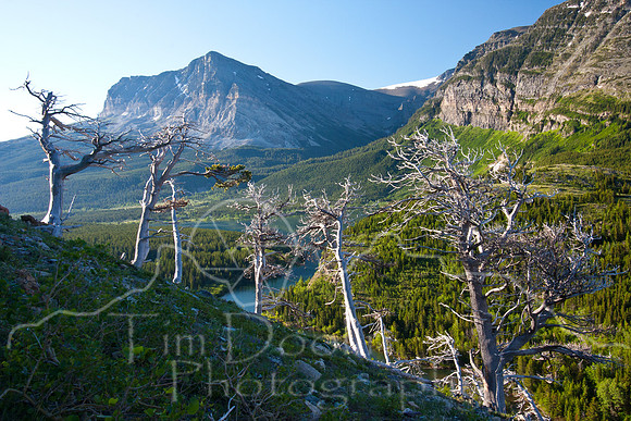 Glacier National Park--July 2010-8105