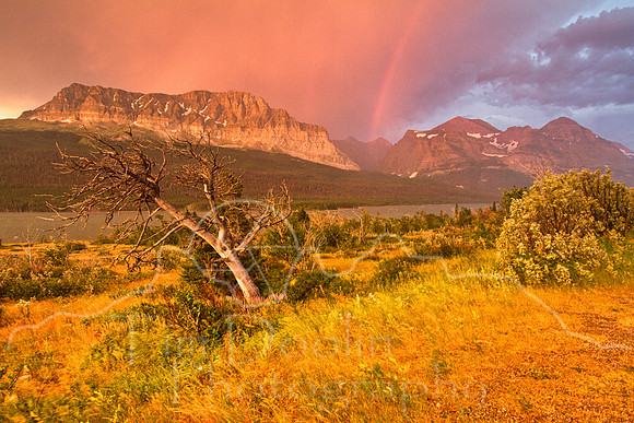 Glacier National Park--2011--10