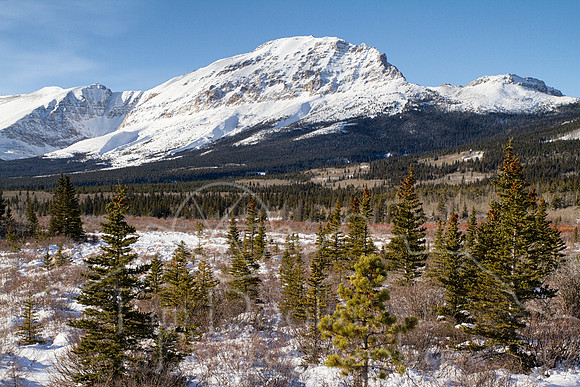 IMG_8954-Edit