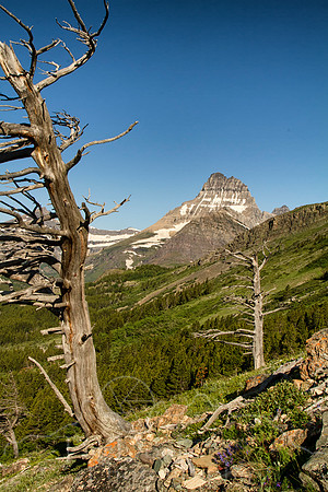 IMG_9591-Edit