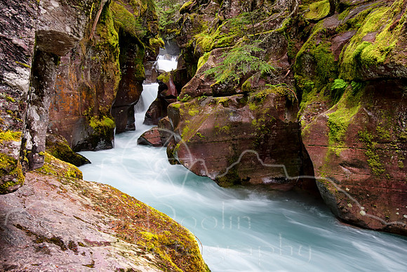 IMG_7411-Edit