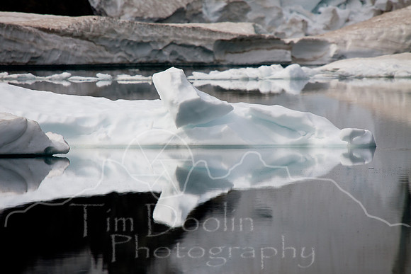 Glacier National Park--July 2010-4215
