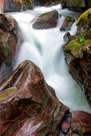 IMG_7302-Edit