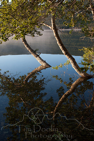 Glacier National Park--July 2010-7769