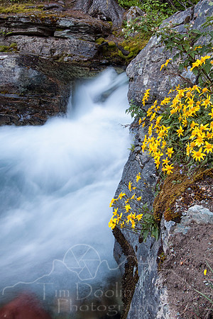 IMG_3366-Edit