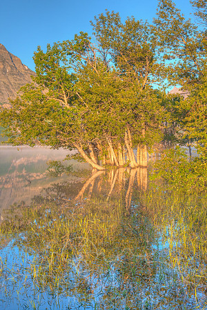 Glacier National Park--July 2010-7756_7_8Enhancer