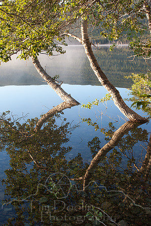 Glacier National Park--July 2010-7770