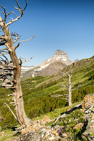 IMG_9590-Edit