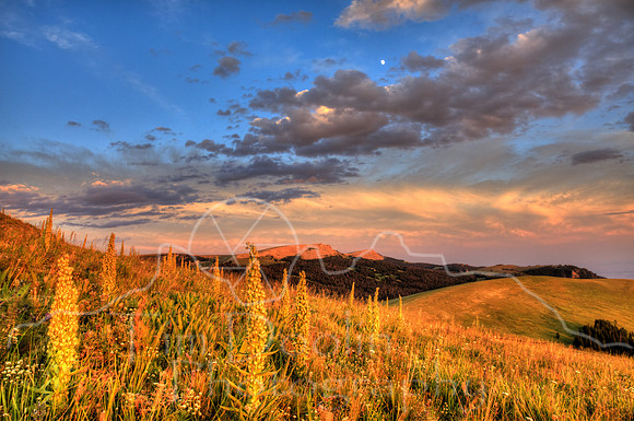 1S5A2901_2_3_4_5