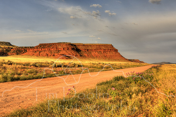 1S5A3072_3_4_5_6-2