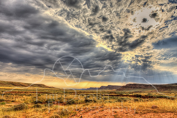 1S5A3127_28_29_30_31-Edit