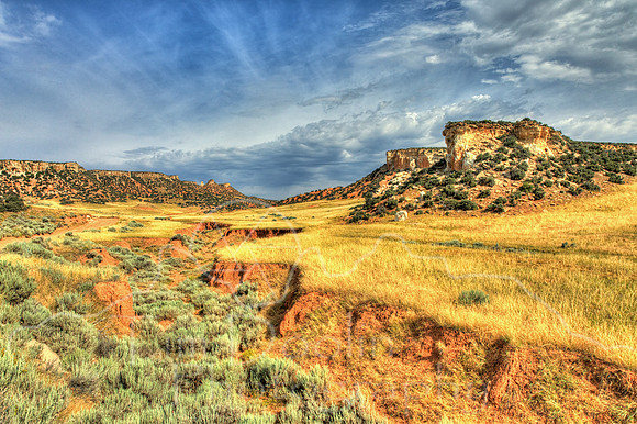 1S5A3242_3_4_5_6-Edit