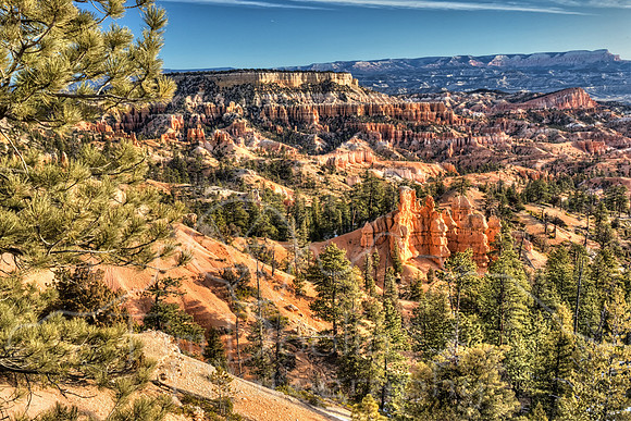 1S5A3596_597_598_599_600-Edit