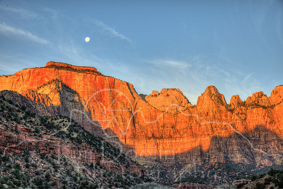 1S5A4891_2_3_4_5-2