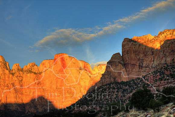 1S5A4991_2_3_4_5-2
