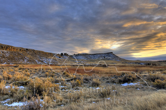 1S5A5296_297_298_299_300-2