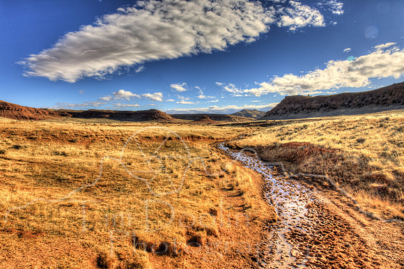 1S5A5516_17_18_19_20-Edit