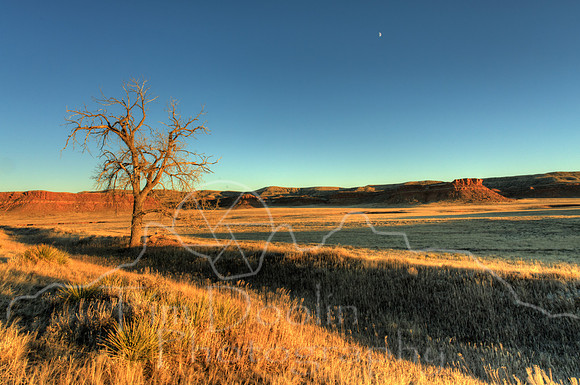 1S5A5671_2_3_4_5-2