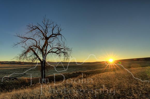 1S5A5701_2_3_4_5-Edit