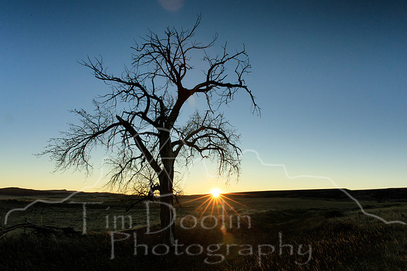 1S5A5741-Edit-Edit