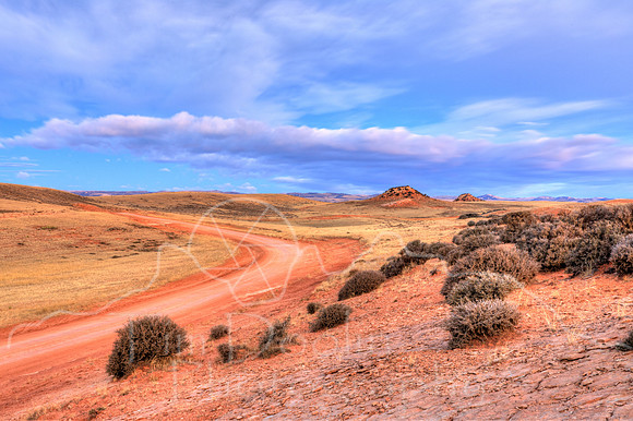 1S5A6961_2_3_4